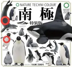 ネイチャーテクニカラー　南極 イワトビペンギン　ヒョウアザラシ