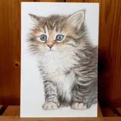 Item thumbnail for item 09ee190a-57b7-4633-bce8-b0ec6b665edc