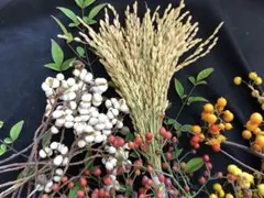 Item thumbnail for item b7b85955-6345-4688-a313-9b4312c4bf74