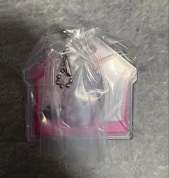 BT21 パッケージチャーム＆チョコボーロ　MANG