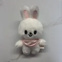 2025年最新】StrayKids リノ ぬいぐるみの人気アイテム - メルカリ