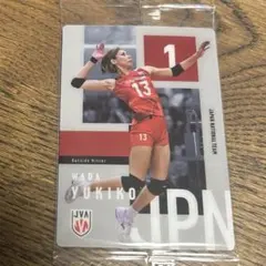 No.495【ツインウエハース】バレー女子日本代表ver.2026和田由紀子N