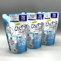 【3個セット】ハダカラ 泡ボディソープ クールアクアミント ひんやり冷感 詰替用のサムネイル