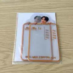 【匿名配送】超特急　ハル　アクリルキーホルダーカバー B9