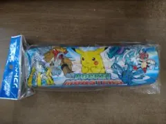 ポケモン　ペンケース　ペンポーチ　筆入れ　未使用