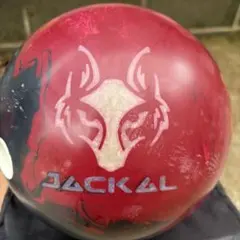 タ*カ様 モーティブ ジャッカル・アンブッシュ 15ポンド サムレス