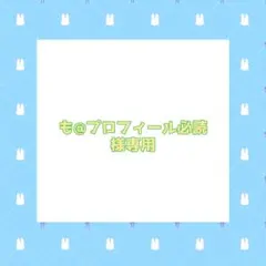 2026年最新】プロフ必読様専用の人気アイテム - メルカリ