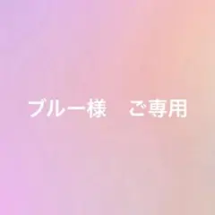 ブルー様　ご専用