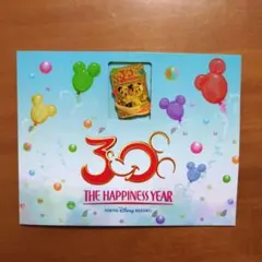 【非売品】東京ディズニーリゾート 30周年  ピンバッジ フリー切符