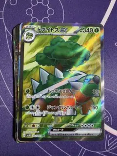 ポケカ　引退品　整理品　レアカード以上10枚まとめ売り　ドダイトスのサムネイル