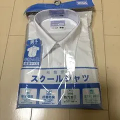 Item thumbnail for item b4a61e8d-2401-4804-845a-5a335ac1bdf8