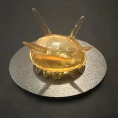 僧侶海參 模型 「奇怪生物」系列