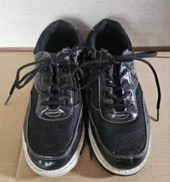 Item thumbnail for item 37cb49dd-aec8-454d-a733-8a07701df229