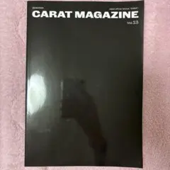 SEVENTEEN CARAT MAGAZINE Vol.13