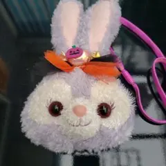 ステラルー　東京ディズニーシー ハロウィン　美品　パスケース　コインケース