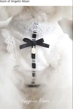 2026年最新】アンジェリックムーンの人気アイテム - メルカリ
