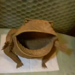 カエルのラタン の マガジンラックのサムネイル