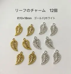 リーフのチャーム　12個