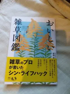 Item thumbnail for item 4f3aec1d-67ad-4619-bd54-de29644f3ece