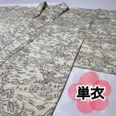 K-060 単衣 身丈156cm 小紋 紬 練色 茶屋辻 正絹 スナップボタン有