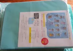 ケース付★海洋堂★ポケモンボトルキャップフィギュアコレクション★全13種★15点