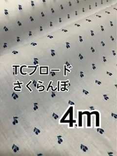2点のみ　4m さくらんぼ　TCブロード ハギレ　生地