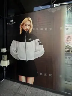 新作THE NORTH FACE韓国ホワイトレーベル新品未使用トレンドジャケット