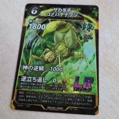 2026年最新】サカダチコノハナナフシの人気アイテム - メルカリ