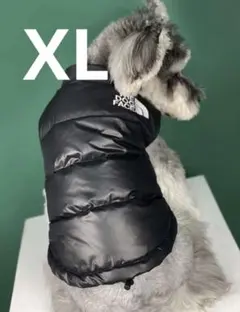 Item thumbnail for item 14693a34-ed7d-4eda-b085-20af0fef44c9