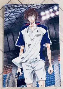 テニスの王子様　ポストカード　切り抜き　不二周助