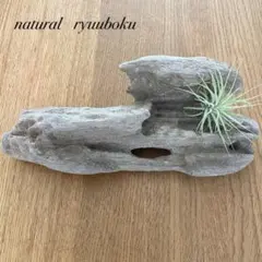 Item thumbnail for item 95e206a2-3391-4bf6-85ef-7bc73333db63