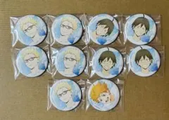 ハイキュー 水遊び缶バッジ