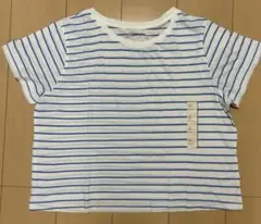 ストライプ Tシャツ