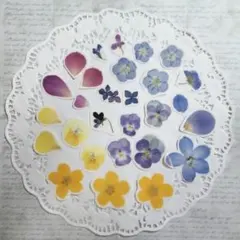 ハンドメイド　押し花　フレークシール　　MF01