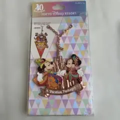 東京ディズニーリゾート 40周年 ミッキー ミニー キーホルダー