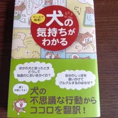 Item thumbnail for item dcac2ccf-f8e5-436d-ba40-fa7a99dbfd3f