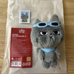 2026年最新】テサン プネクドの人気アイテム - メルカリ