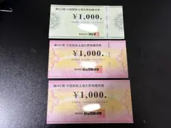 ビッグカメラ コジマ 株主優待券 3000円分