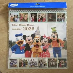 ディズニーリゾート 壁掛け　カレンダー 2026 実写版 ミッキーと仲間たち