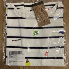 INSECT COLLECTION ボーダー Tシャツ Lサイズ