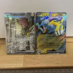 ライコウex SAR RR 2枚セット 포켓몬 카드