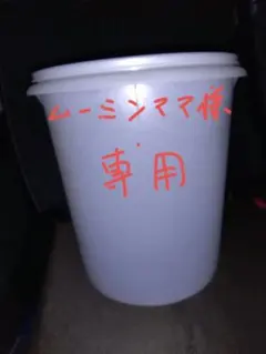 ムーミンママ様専用　透明プラスチック食品保存容器 2個