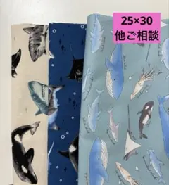 Item thumbnail for item e6e75c28-a362-40d3-bfb0-86e51e2c26ec