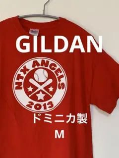 ★GILDAN 丸胴両面プリントtシャツ M