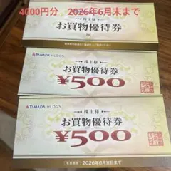 YAMADA HLDGS お買物優待券 8枚