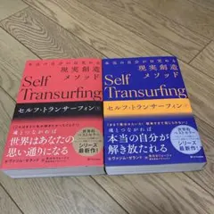 セルフ・トランサーフィン 上下巻セット ヴァジム・ゼランド
