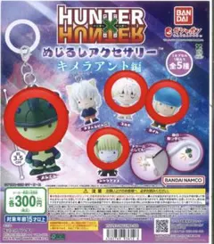 HUNTER×HUNTER めじるしアクセサリー キメラアント編 セミコンプ