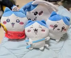 ハチワレセット