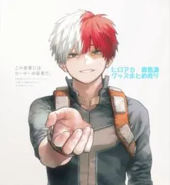 僕のヒーローアカデミア　ヒロアカ　轟焦凍　グッズまとめ売り