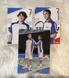 テニミュ　全氷　氷帝　アニメイト特典　ブロマイド　ポストカード　大石　菊丸￼